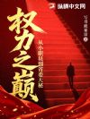 权力之巅:从小职员到省委大秘
